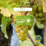 Salon_vins_et_terroirs_vin_bollenberg