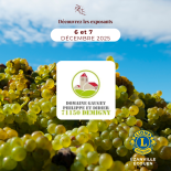 Salon_vins_et_terroirs_vin_domaine-gaugey