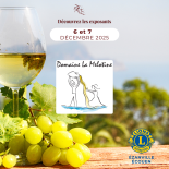 Salon_vins_et_terroirs_vin_la-melotine